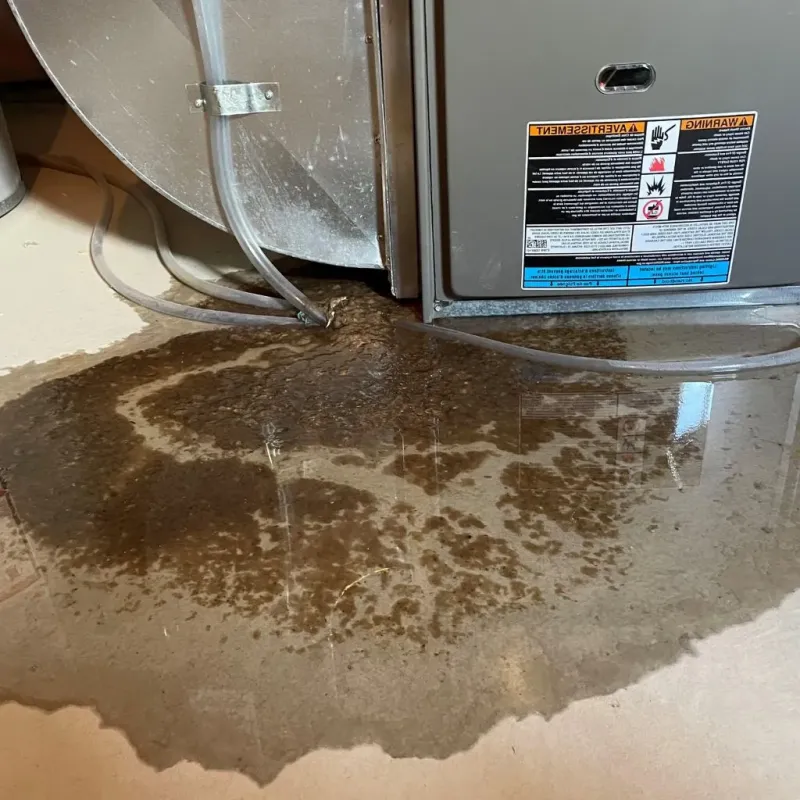 Pipe Burst and Leak Restoration in Anaconda, MT